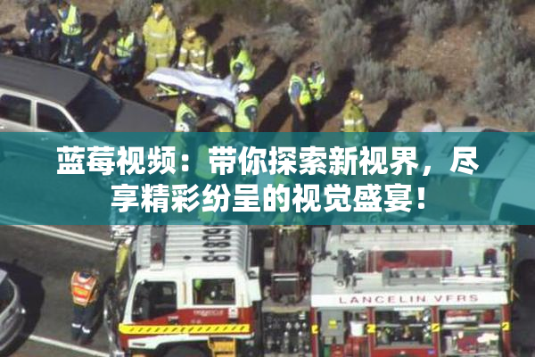 蓝莓视频：带你探索新视界，尽享精彩纷呈的视觉盛宴！
