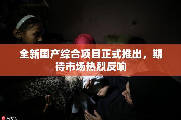 全新国产综合项目正式推出，期待市场热烈反响