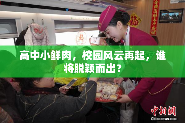 高中小鲜肉，校园风云再起，谁将脱颖而出？