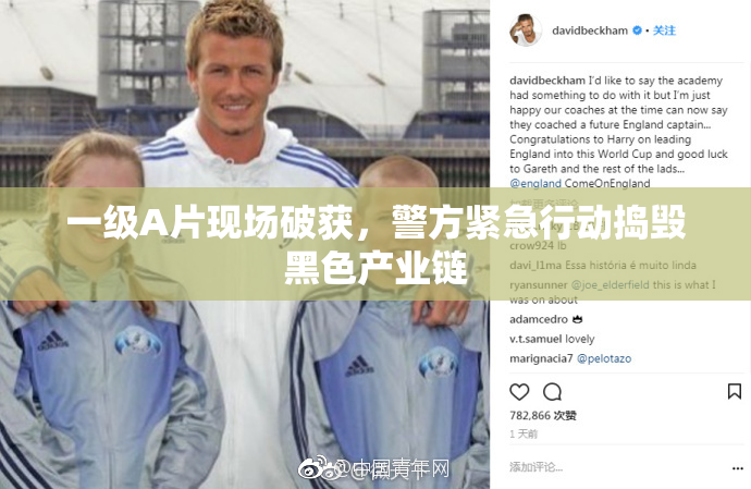 一级A片现场破获，警方紧急行动捣毁黑色产业链