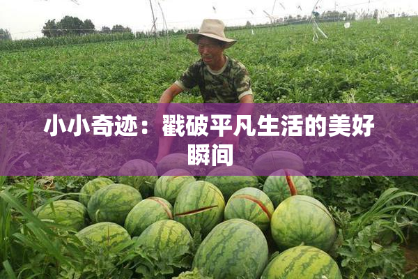 小小奇迹：戳破平凡生活的美好瞬间