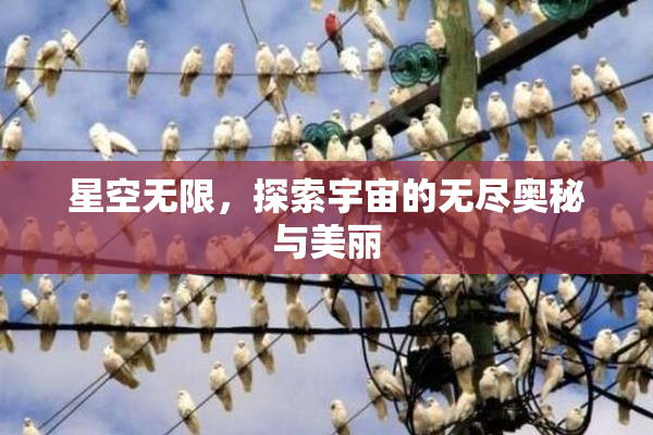 星空无限，探索宇宙的无尽奥秘与美丽