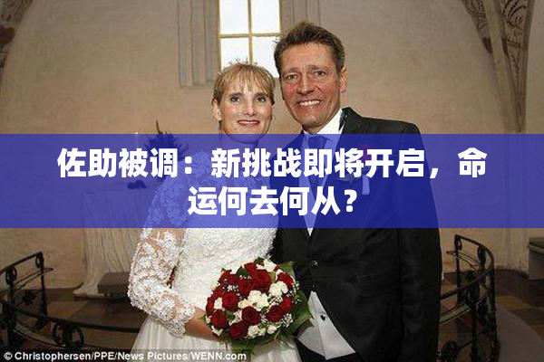 佐助被调：新挑战即将开启，命运何去何从？
