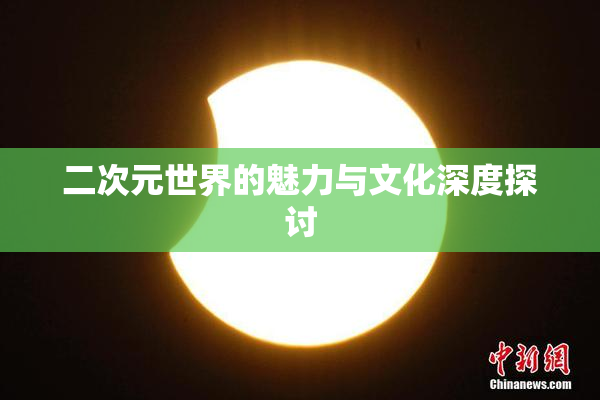 二次元世界的魅力与文化深度探讨