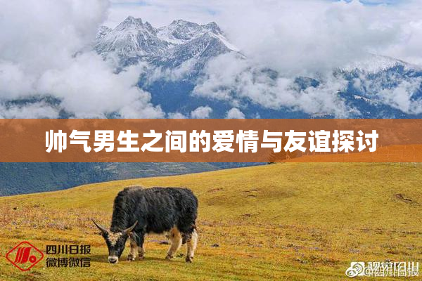 帅气男生之间的爱情与友谊探讨