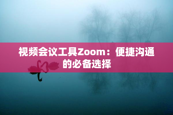 视频会议工具Zoom：便捷沟通的必备选择
