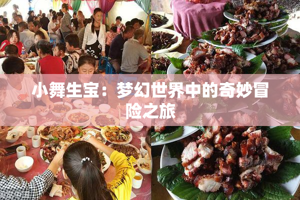 小舞生宝：梦幻世界中的奇妙冒险之旅