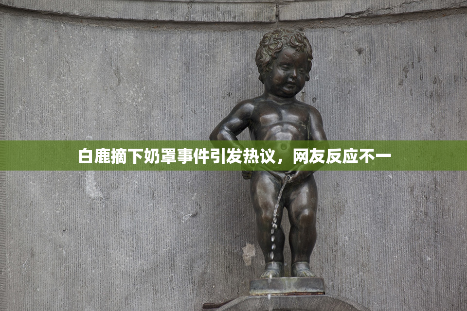 白鹿摘下奶罩事件引发热议，网友反应不一