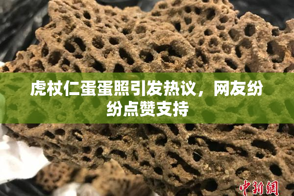 虎杖仁蛋蛋照引发热议，网友纷纷点赞支持