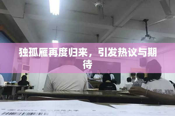 独孤雁再度归来，引发热议与期待