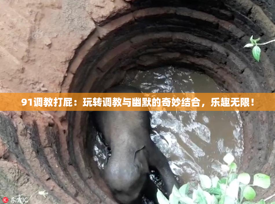 91调教打屁：玩转调教与幽默的奇妙结合，乐趣无限！