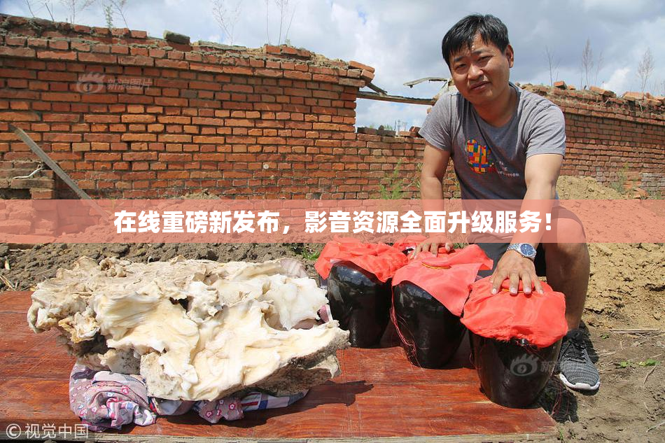 在线重磅新发布，影音资源全面升级服务！