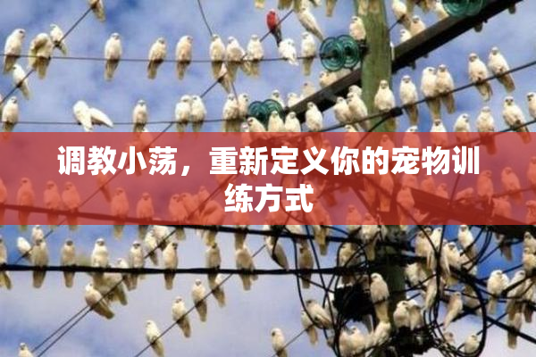 调教小荡，重新定义你的宠物训练方式