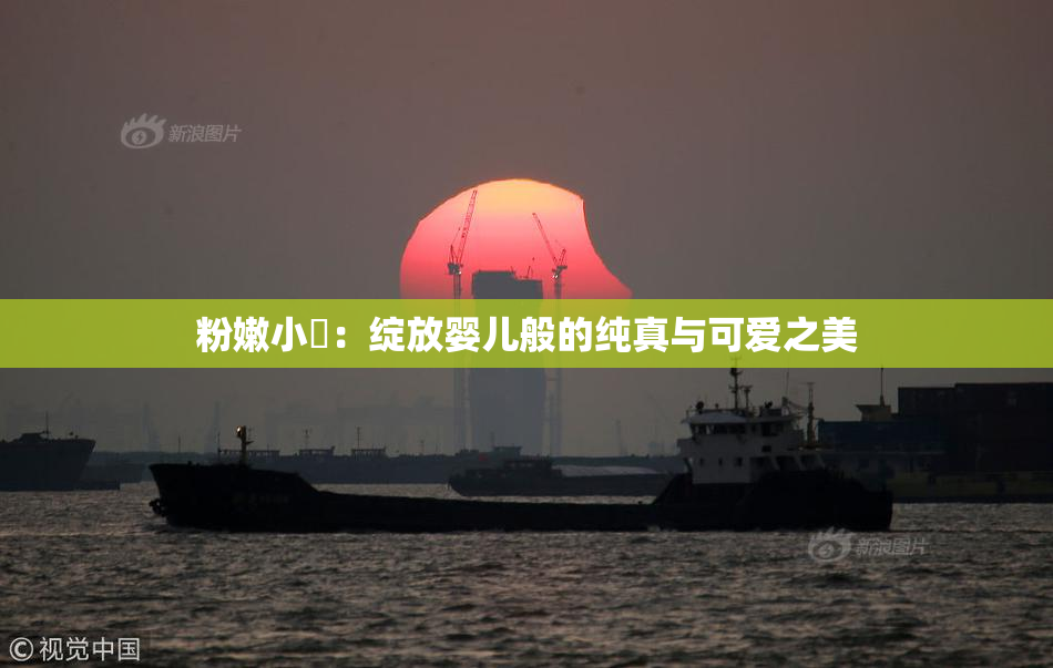 粉嫩小泬：绽放婴儿般的纯真与可爱之美