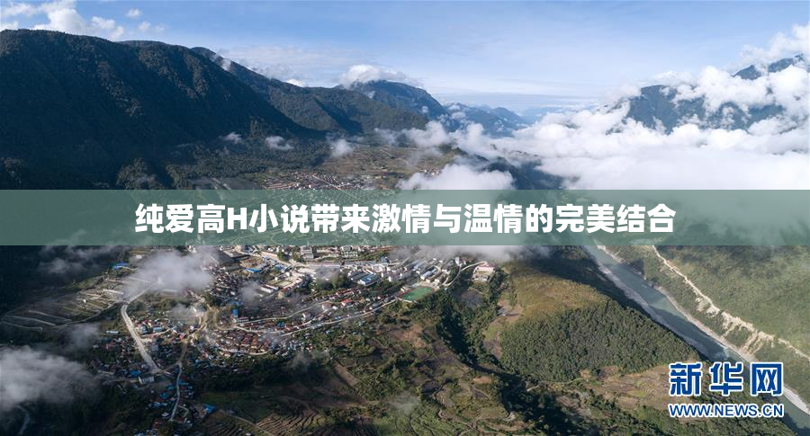 纯爱高H小说带来激情与温情的完美结合