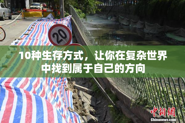 10种生存方式，让你在复杂世界中找到属于自己的方向