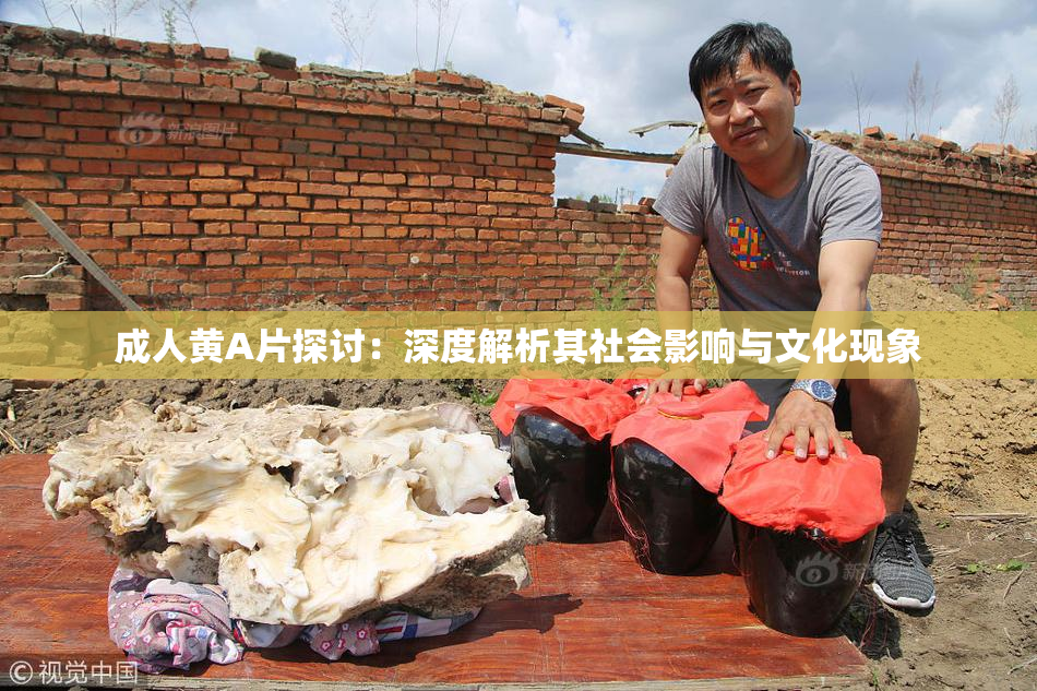 成人黄A片探讨：深度解析其社会影响与文化现象