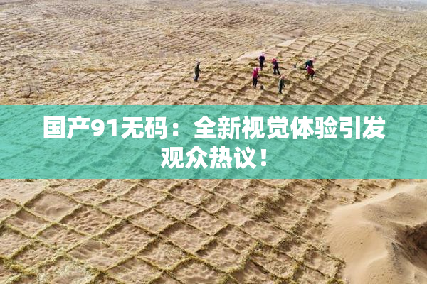 国产91无码：全新视觉体验引发观众热议！