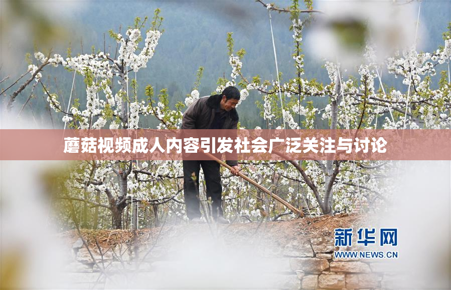 蘑菇视频成人内容引发社会广泛关注与讨论
