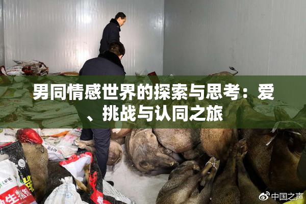 男同情感世界的探索与思考：爱、挑战与认同之旅