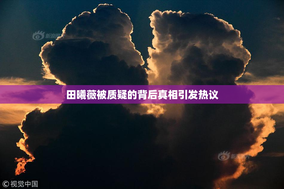 田曦薇被质疑的背后真相引发热议