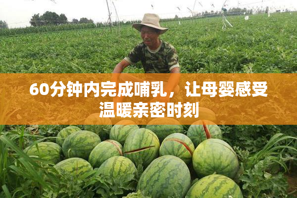 60分钟内完成哺乳，让母婴感受温暖亲密时刻