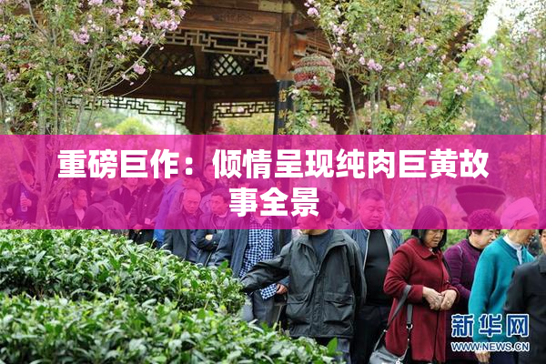 重磅巨作：倾情呈现纯肉巨黄故事全景