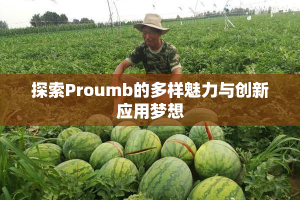 探索Proumb的多样魅力与创新应用梦想