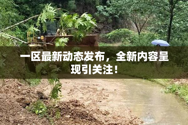 一区最新动态发布，全新内容呈现引关注！