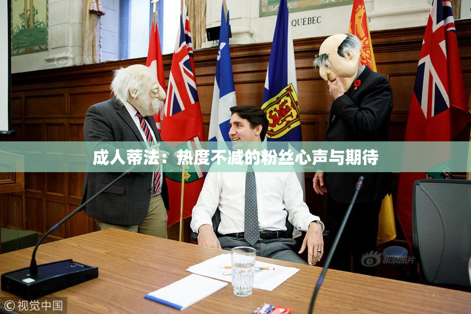 成人蒂法：热度不减的粉丝心声与期待