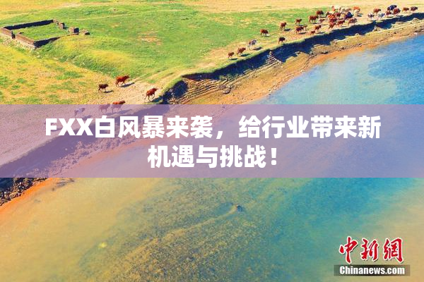 FXX白风暴来袭，给行业带来新机遇与挑战！