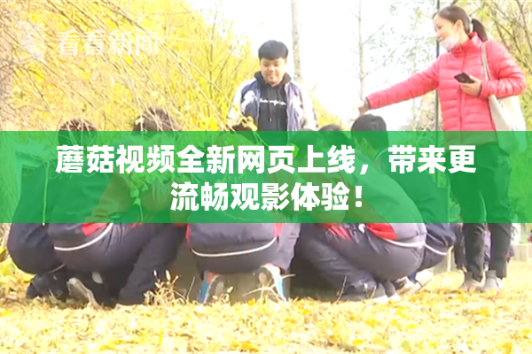 蘑菇视频全新网页上线，带来更流畅观影体验！