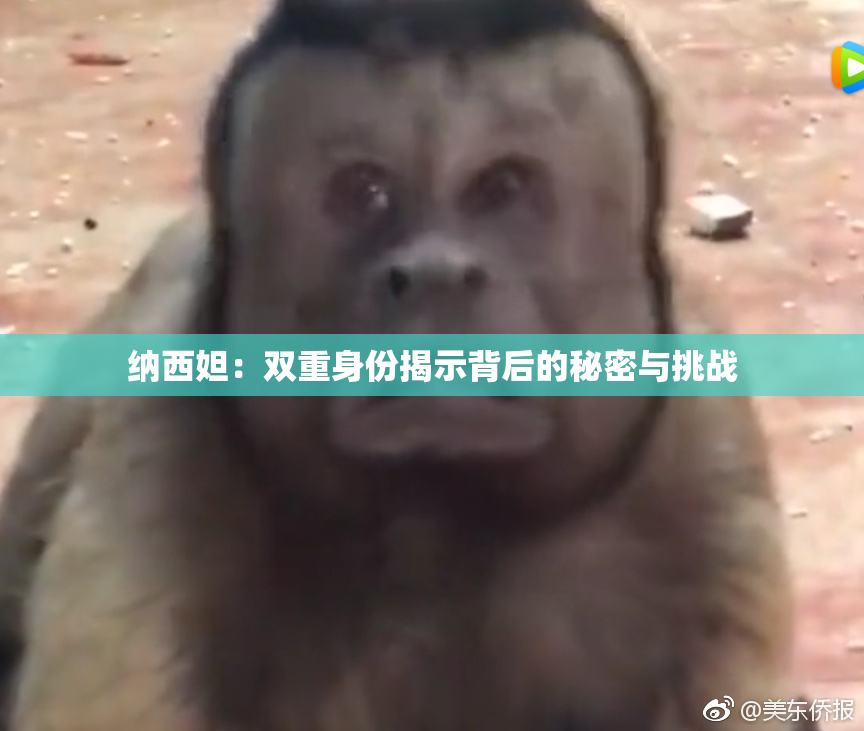 纳西妲：双重身份揭示背后的秘密与挑战