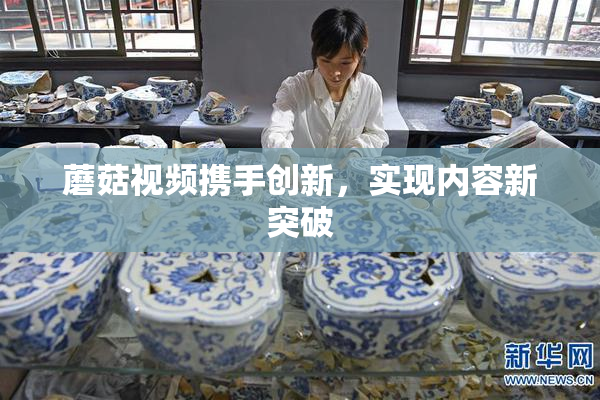 蘑菇视频携手创新，实现内容新突破