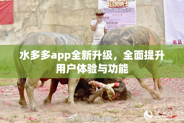 水多多app全新升级，全面提升用户体验与功能