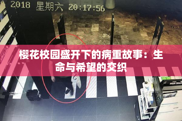 樱花校园盛开下的病重故事：生命与希望的交织