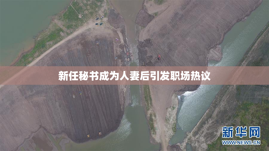 新任秘书成为人妻后引发职场热议
