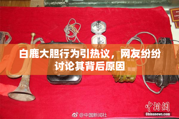 白鹿大胆行为引热议，网友纷纷讨论其背后原因