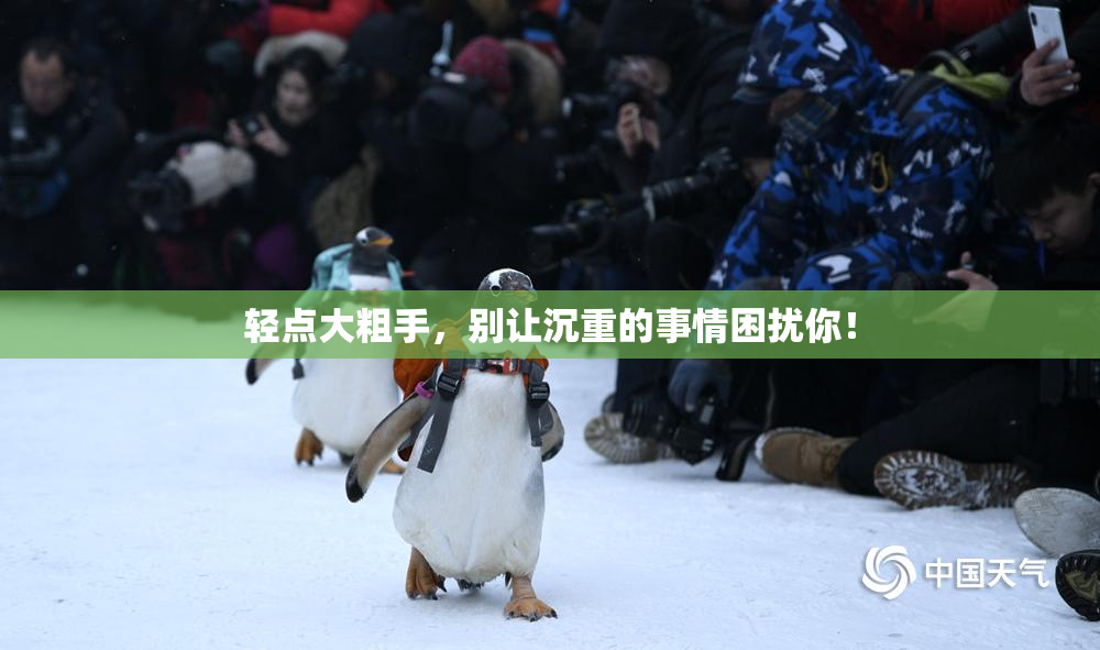 轻点大粗手，别让沉重的事情困扰你！