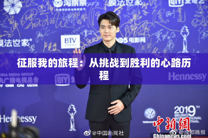 征服我的旅程：从挑战到胜利的心路历程