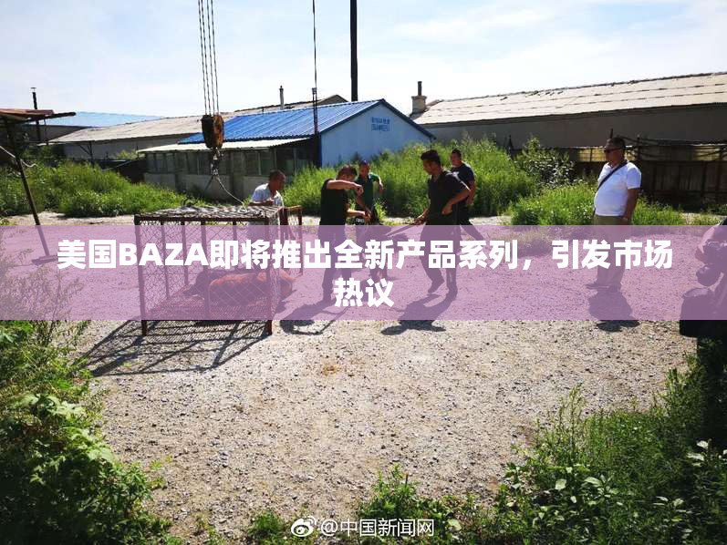 美国BAZA即将推出全新产品系列，引发市场热议