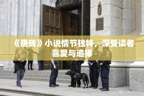 《唐砖》小说情节独特，深受读者喜爱与追捧