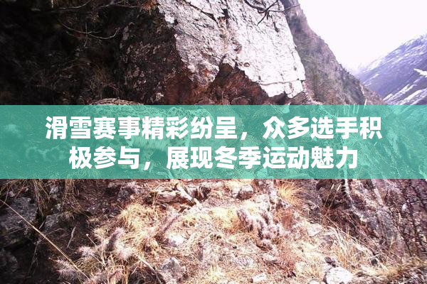 滑雪赛事精彩纷呈，众多选手积极参与，展现冬季运动魅力