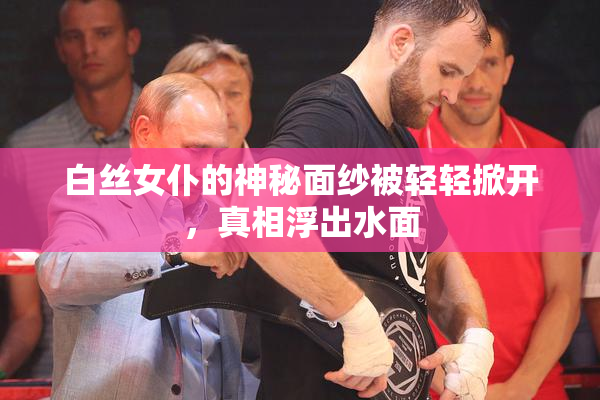 白丝女仆的神秘面纱被轻轻掀开，真相浮出水面