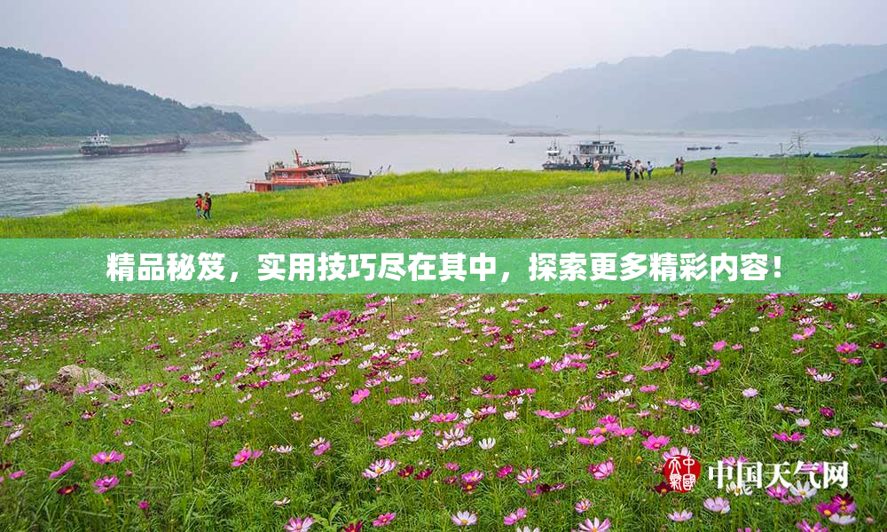精品秘笈，实用技巧尽在其中，探索更多精彩内容！