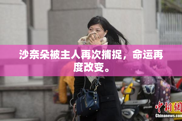 沙奈朵被主人再次捕捉，命运再度改变。