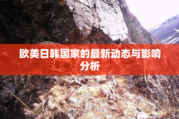 欧美日韩国家的最新动态与影响分析