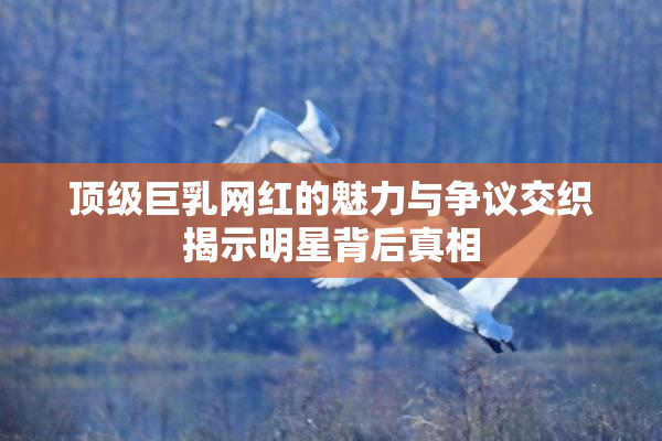 顶级巨乳网红的魅力与争议交织揭示明星背后真相