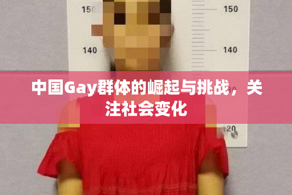 中国Gay群体的崛起与挑战，关注社会变化