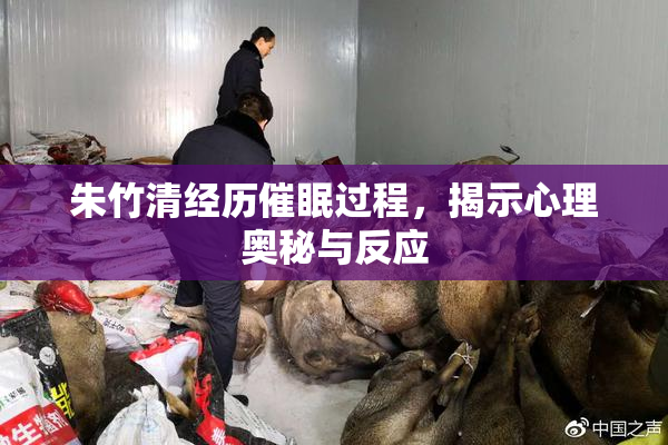 朱竹清经历催眠过程，揭示心理奥秘与反应
